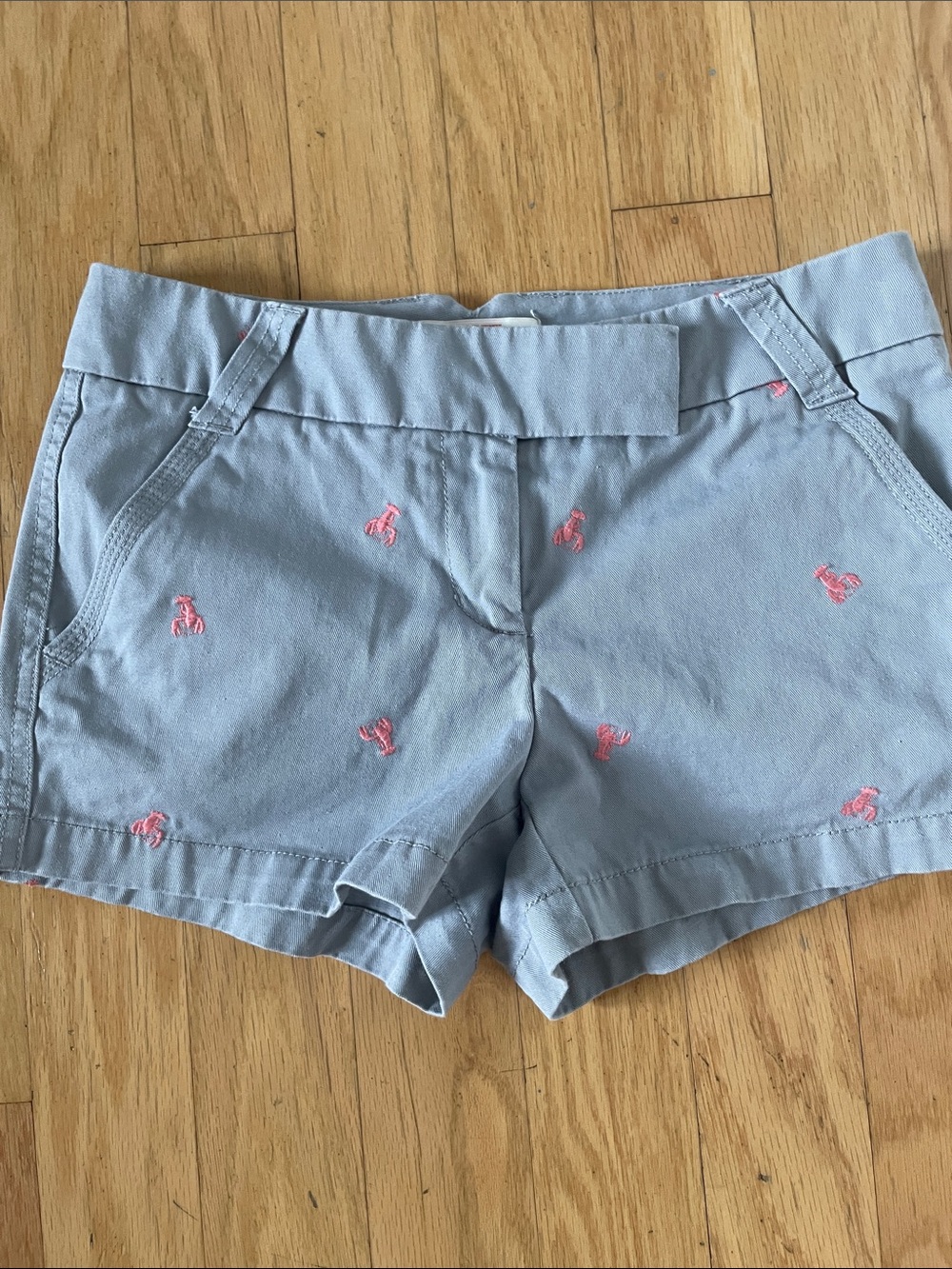 J. Crew Embroidered Cotton Shorts - Women's size 4